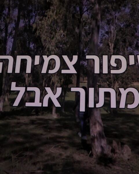 דוקאביב: יצירה בזמן מלחמה