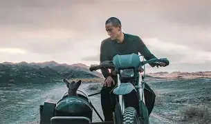 כלב שחור