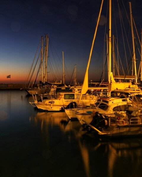 אוהבים אמנות, עושים אמנות 2025