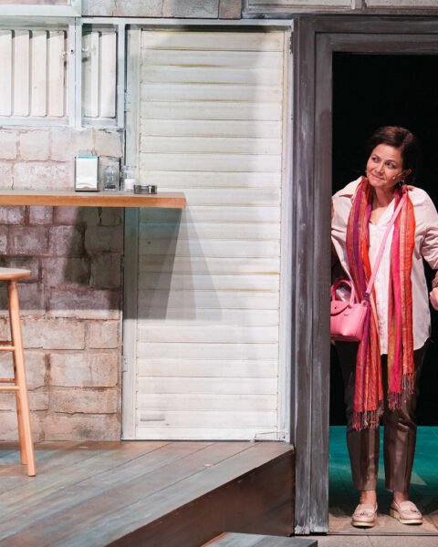 החולה ההודי בקאמרי