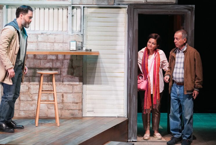 החולה ההודי בקאמרי