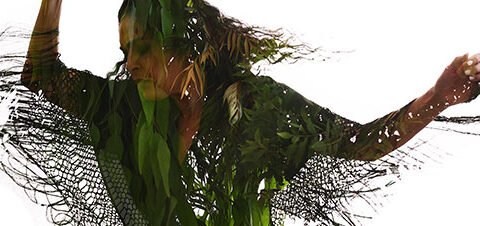 Arbolella היא עץ השדה בסוזן דלל