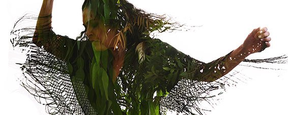 Arbolella היא עץ השדה בסוזן דלל