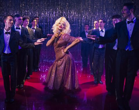 פריסיליה מלכת המדבר בהבימה