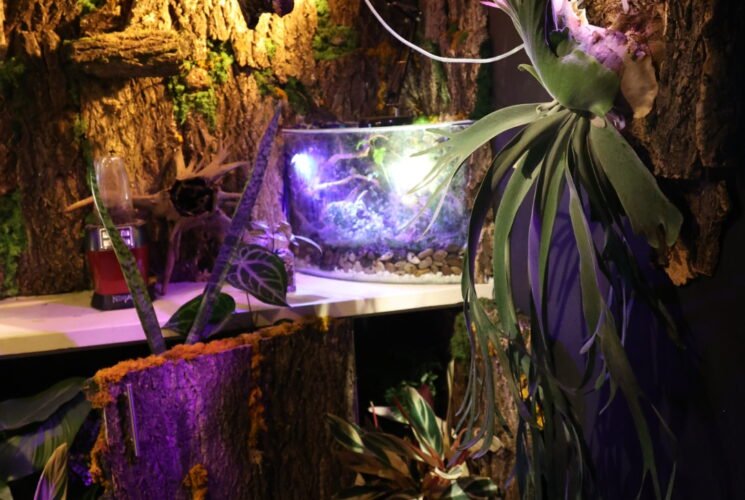 פה גרים בכייף משפחת ניצוץ חלל. Dioz