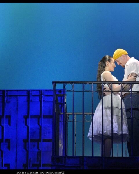 סיפור הפרברים בבית ליסין