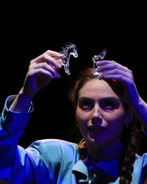 ביבר הזכוכית בבית צבי