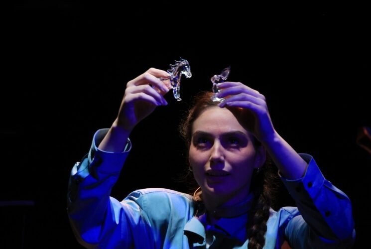 ביבר הזכוכית בבית צבי