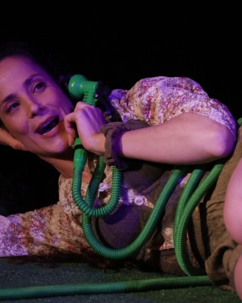 עוברת בירושה בצוותא