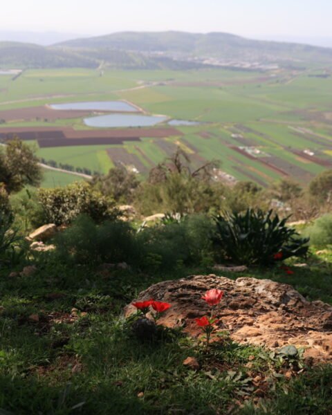 טיול למנחת מגידו, עין השופט, רמות מנשה והר תבור