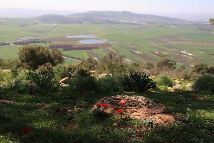 טיול למנחת מגידו, עין השופט, רמות מנשה והר תבור