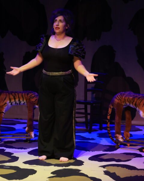 איפה הילד, ההצגה, תיאטרון האינקובטור