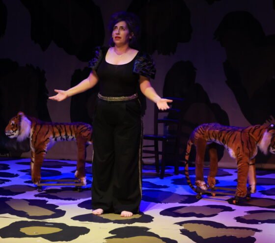 איפה הילד, ההצגה, תיאטרון האינקובטור