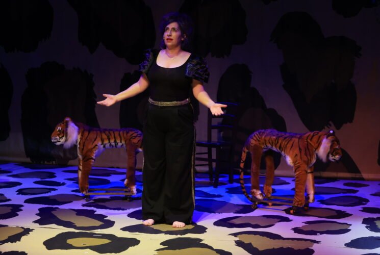 איפה הילד, ההצגה, תיאטרון האינקובטור