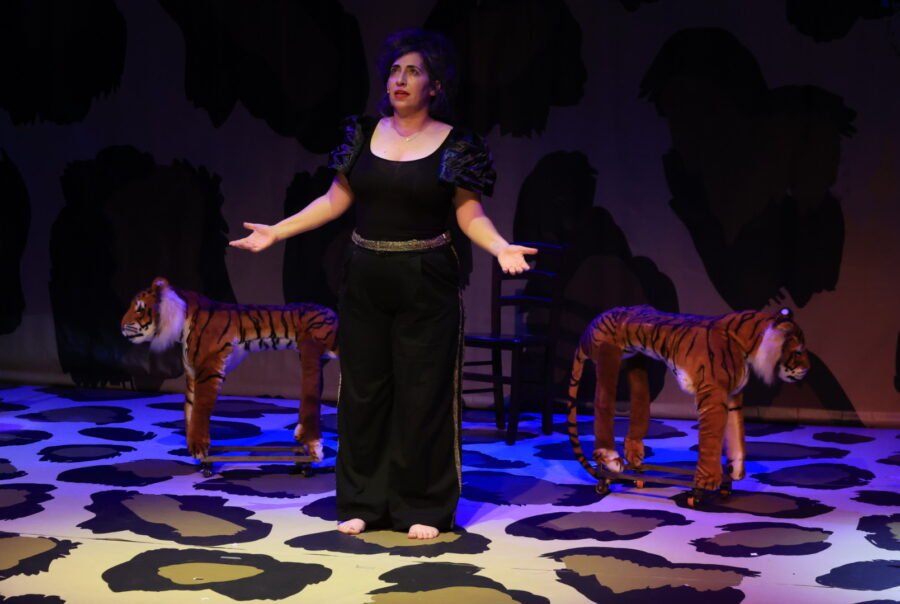 איפה הילד, ההצגה, תיאטרון האינקובטור