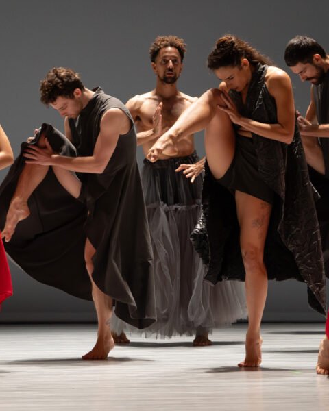 נונה של ורטיגו. ביקורת