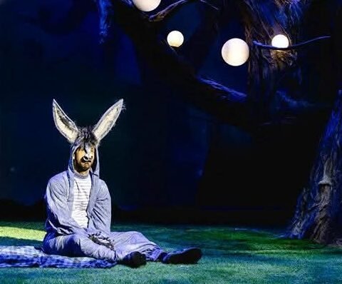 הצגות ילדים של גשר – פעילות הפגה