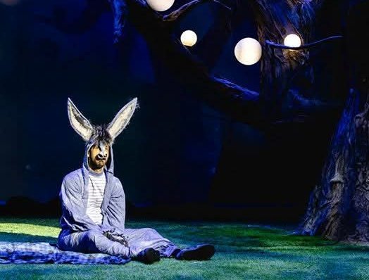 הצגות ילדים של גשר – פעילות הפגה