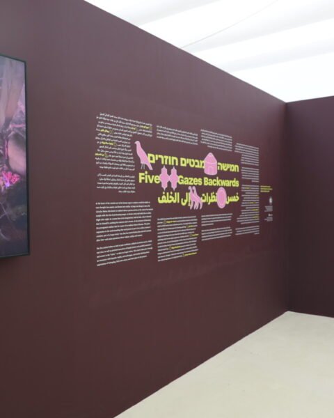 תערוכה חדשה במוזיאון הרצליה לאמנות עכשווית