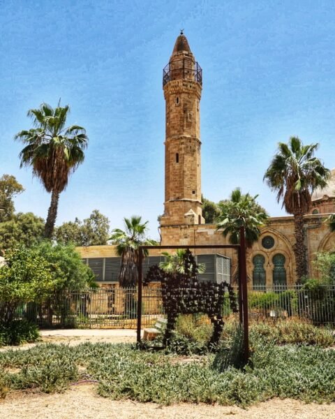 תערוכות חדשות במתחם המוזיאונים בבאר שבע