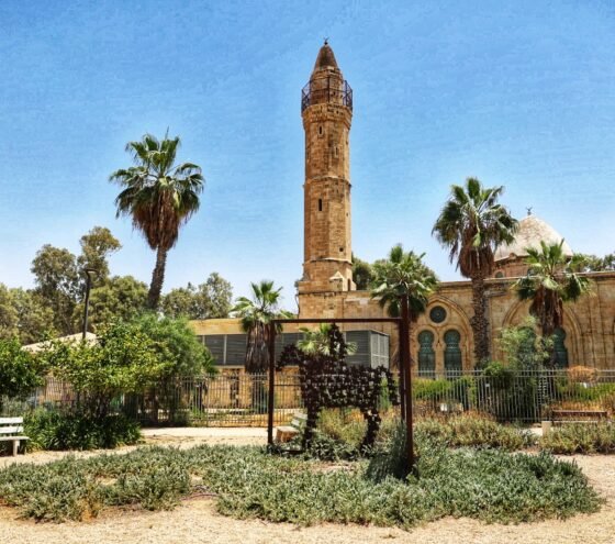 תערוכות חדשות במתחם המוזיאונים בבאר שבע