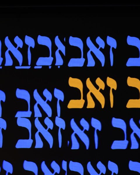 זאב זאב בתאו