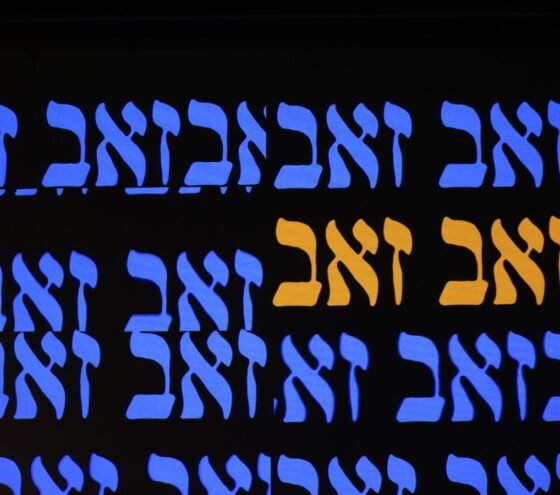 זאב זאב בתאו