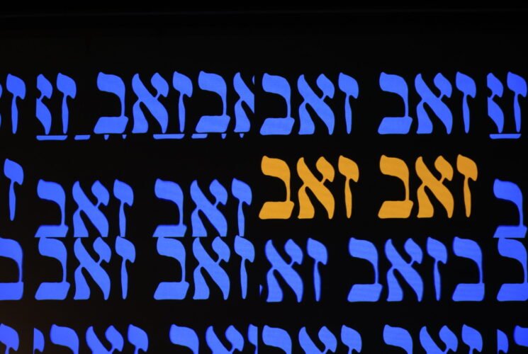 זאב זאב בתאו