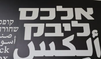 מירה לפידות, אוצרת ראשית