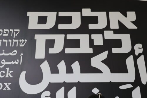 מירה לפידות, אוצרת ראשית