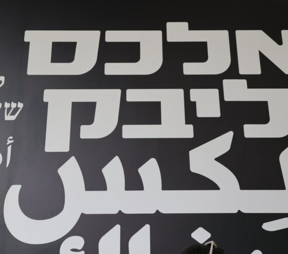 רטרוספקטיבה לצלם אלכס ליבק בביתן עופר של מוזיאון תל אביב