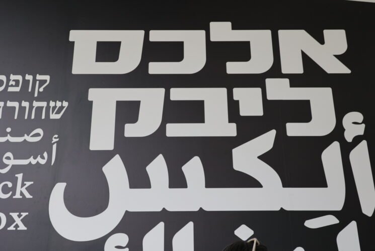 רטרוספקטיבה לצלם אלכס ליבק בביתן עופר של מוזיאון תל אביב