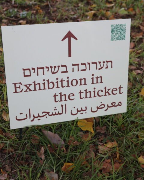 תערוכה בשיחים ברמת הנדיב