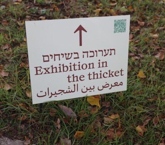 תערוכה בשיחים ברמת הנדיב