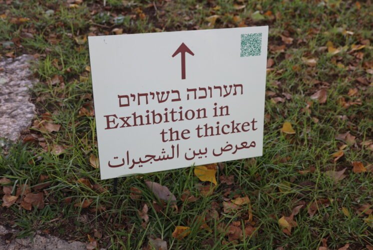 תערוכה בשיחים ברמת הנדיב